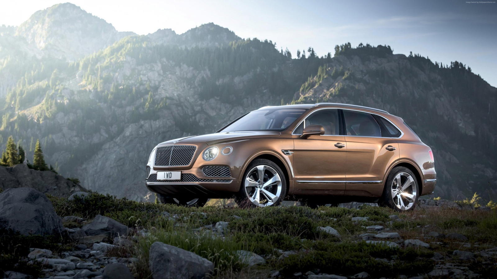 Коричневый кроссовер  Bentley Bentayga, 2017 на фоне гор