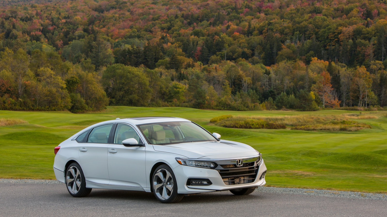 Белый автомобиль Honda Accord на фоне леса