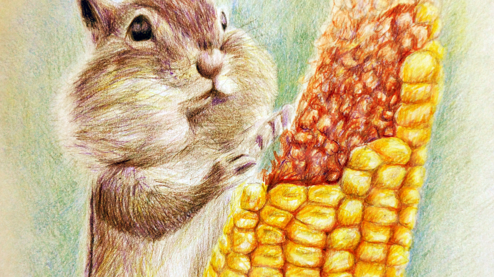 Нарисованный бурундук с кукурузой