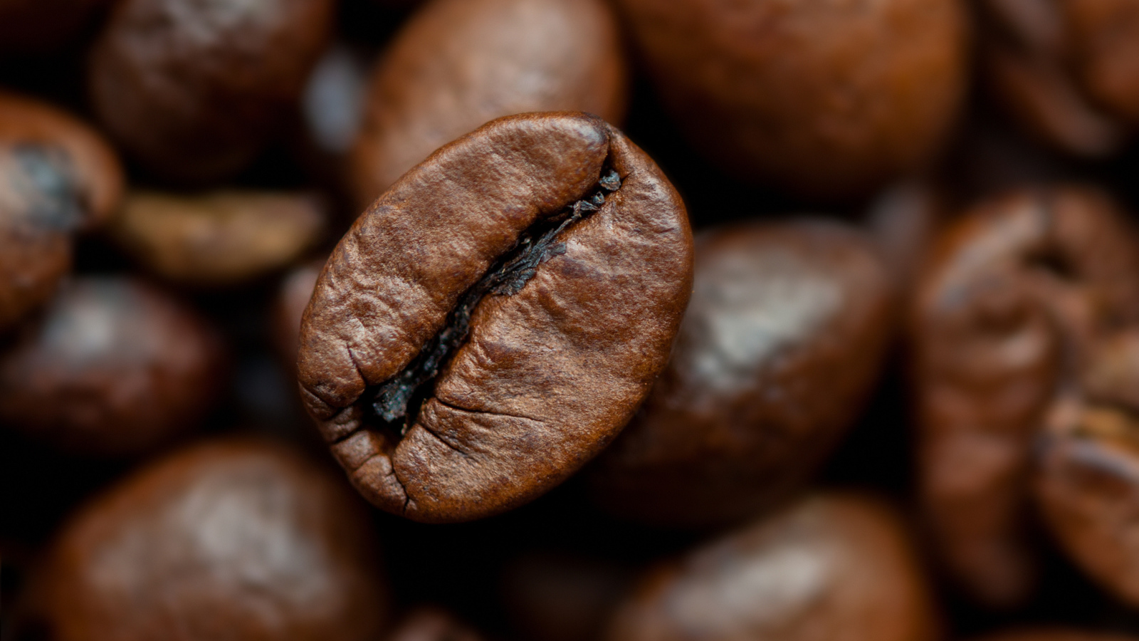 Кофейное зерно крупным планом