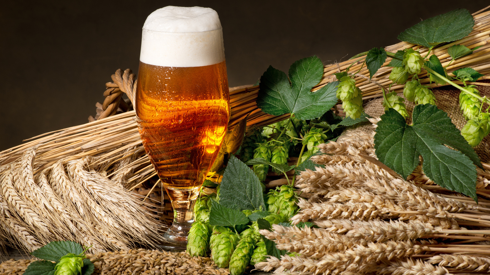 Бокал пива с хмелем и колосьями пшеницы 