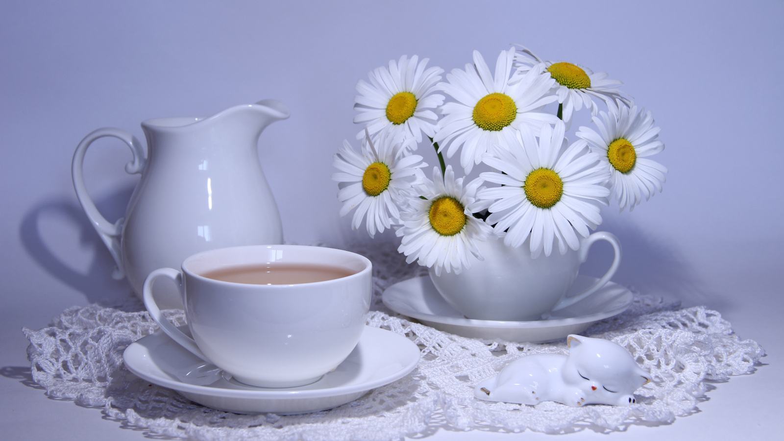 Белая чашка какао на столе с кувшином и белыми ромашками