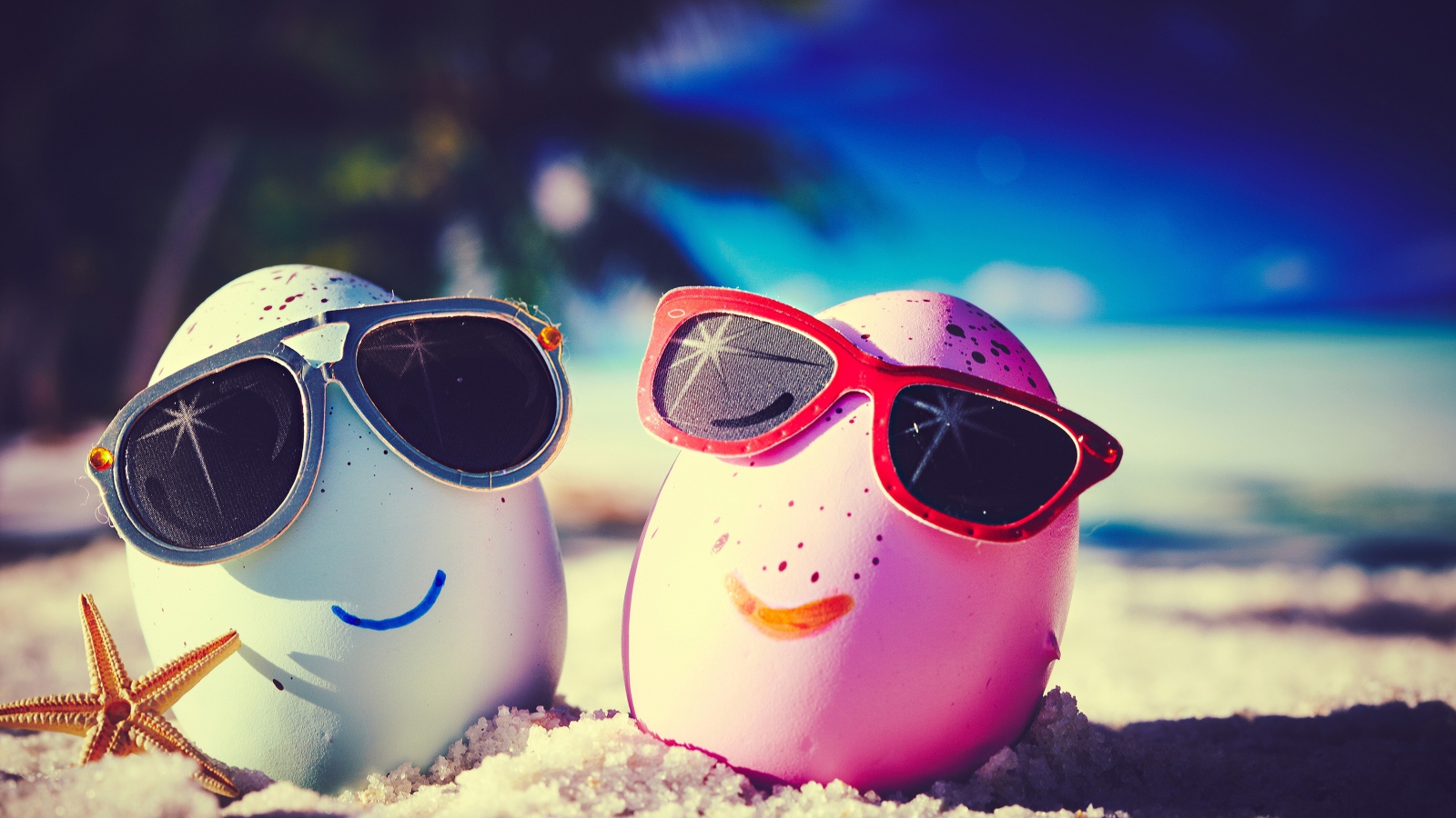Two cool eggs in sunglasses on the beach