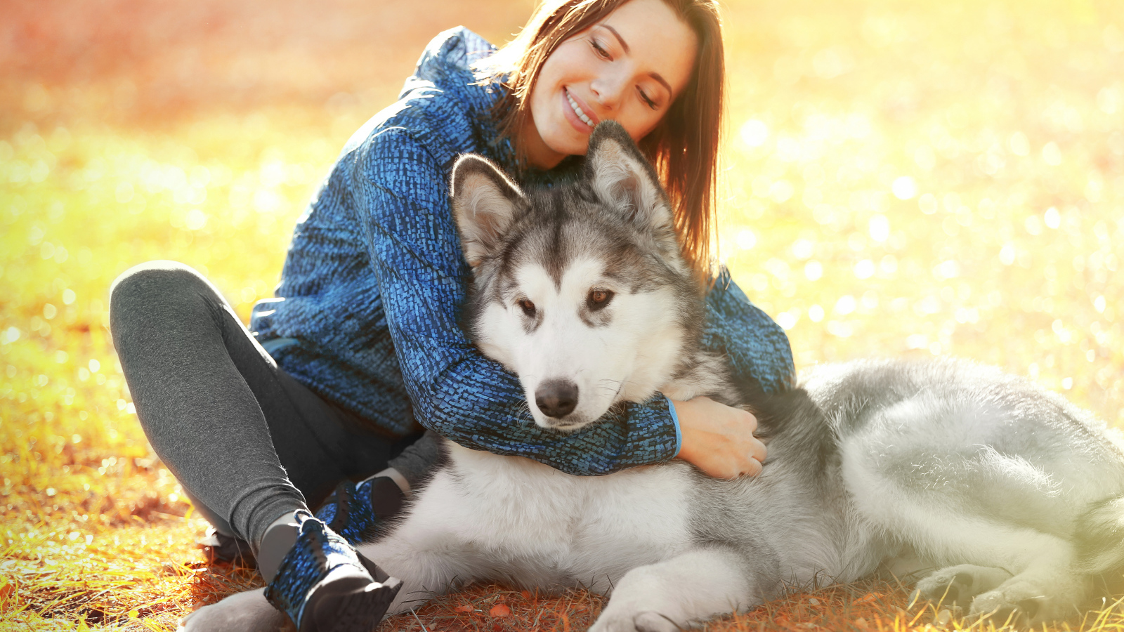 Красивая девушка брюнетка сидит на земле с собакой породы хаски