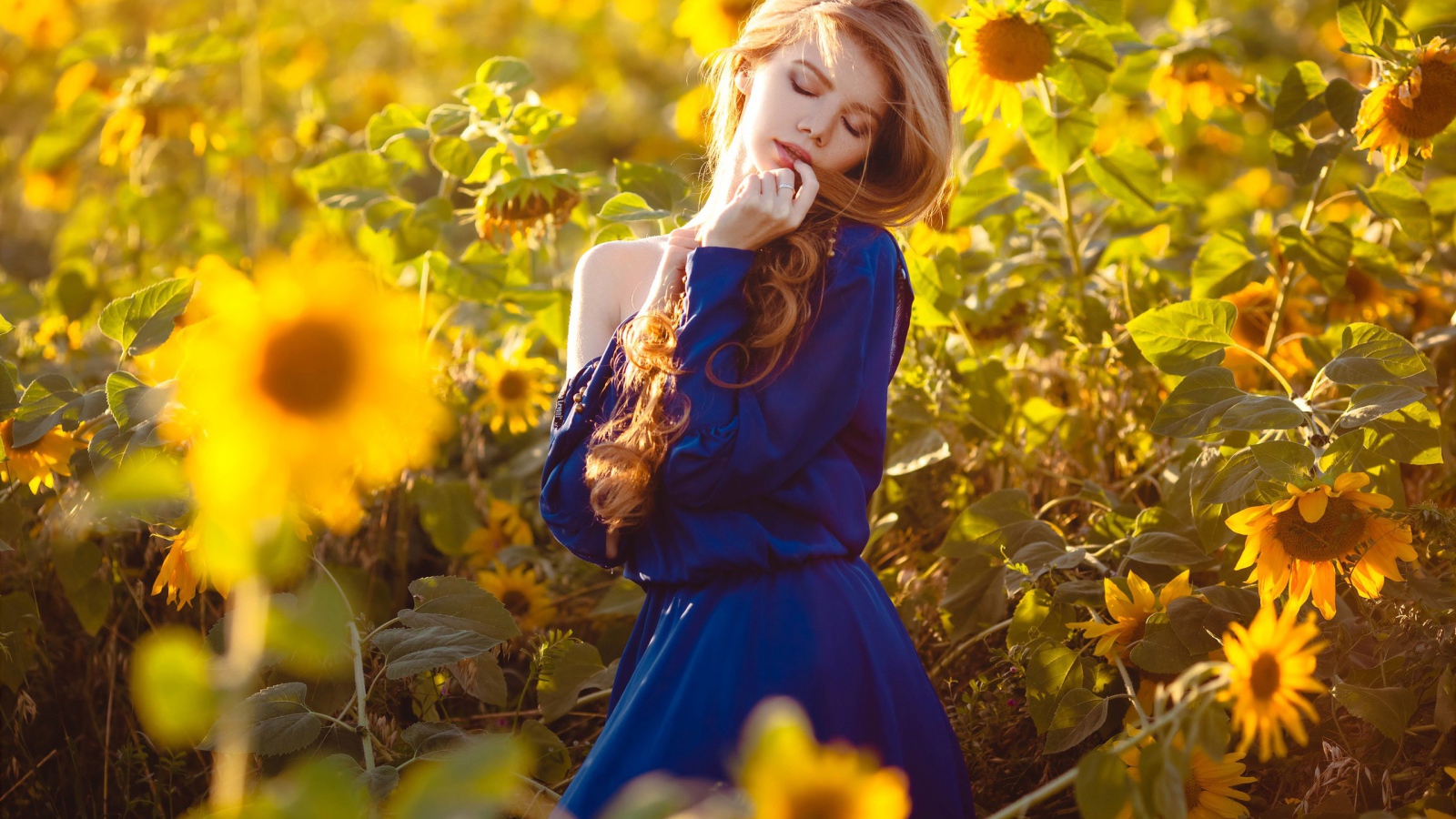 Красивая девушка в голубом платье в поле подсолнухов 