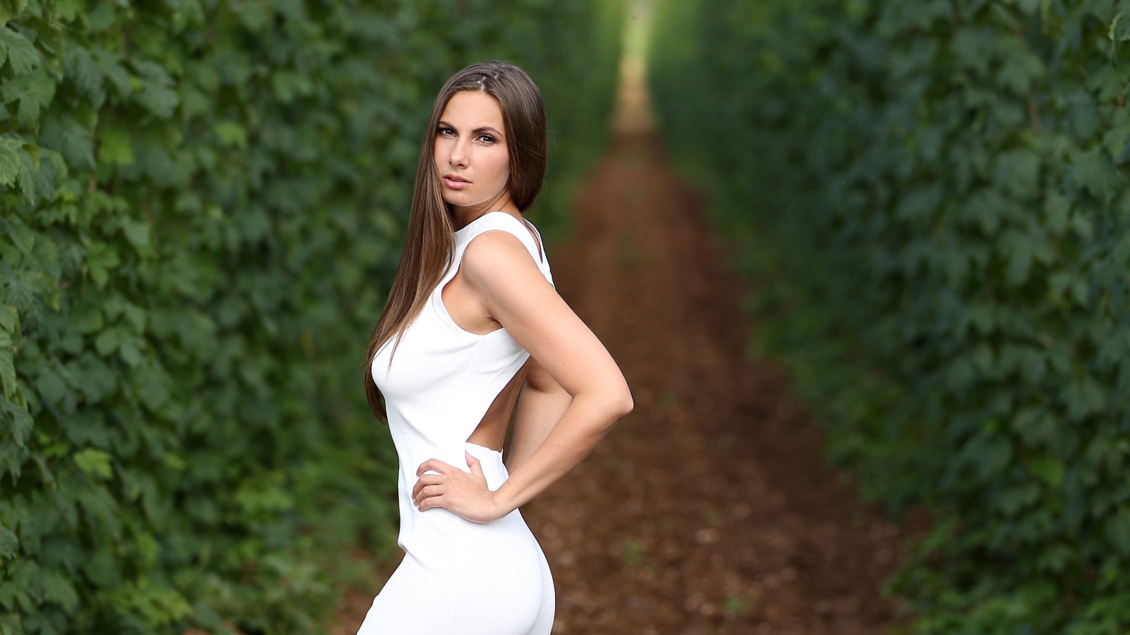 Красивая молодая девушка с длинными волосами в белом платье