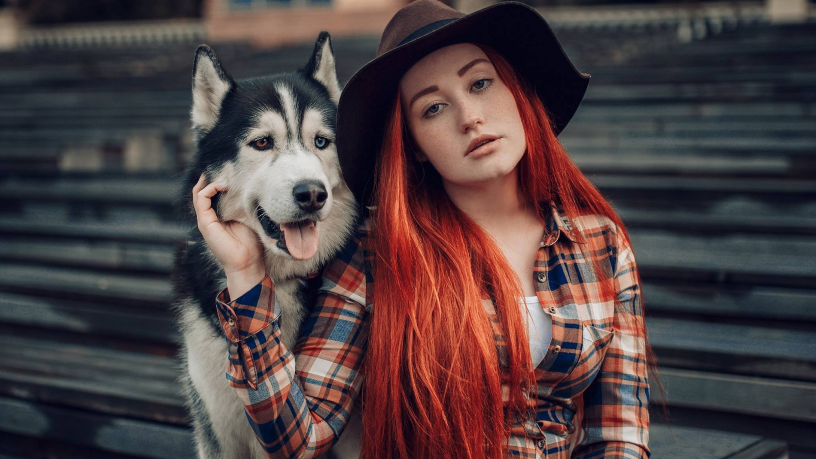 Рыжеволосая девушка в черной шляпе сидит с хаски