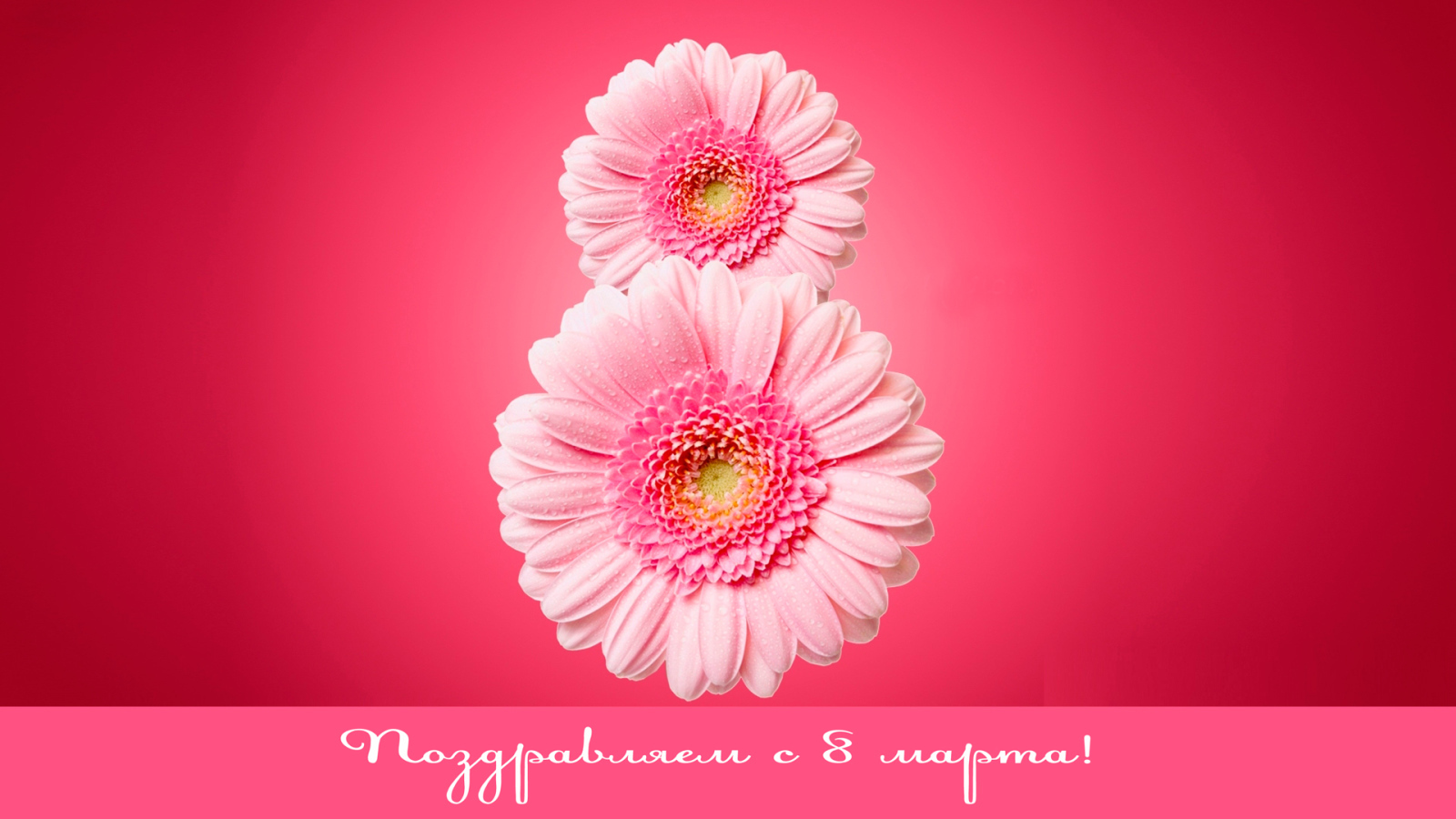 Восьмерка из гербер на 8 Марта