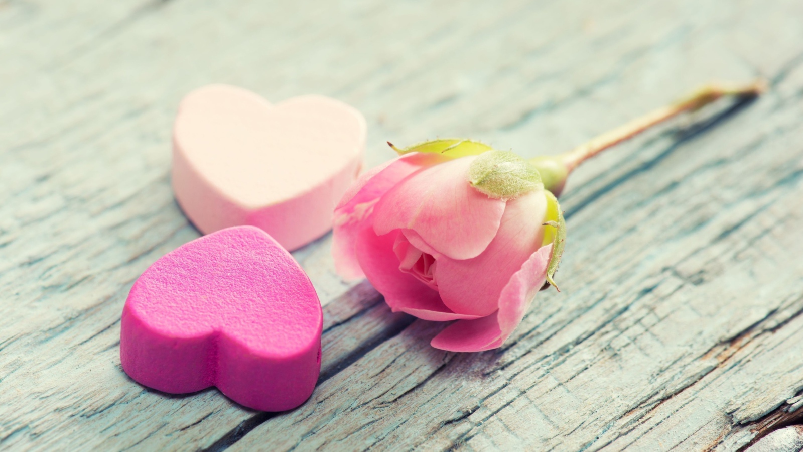 Два розовых сердца и розовая роза лежат на деревянной поверхности