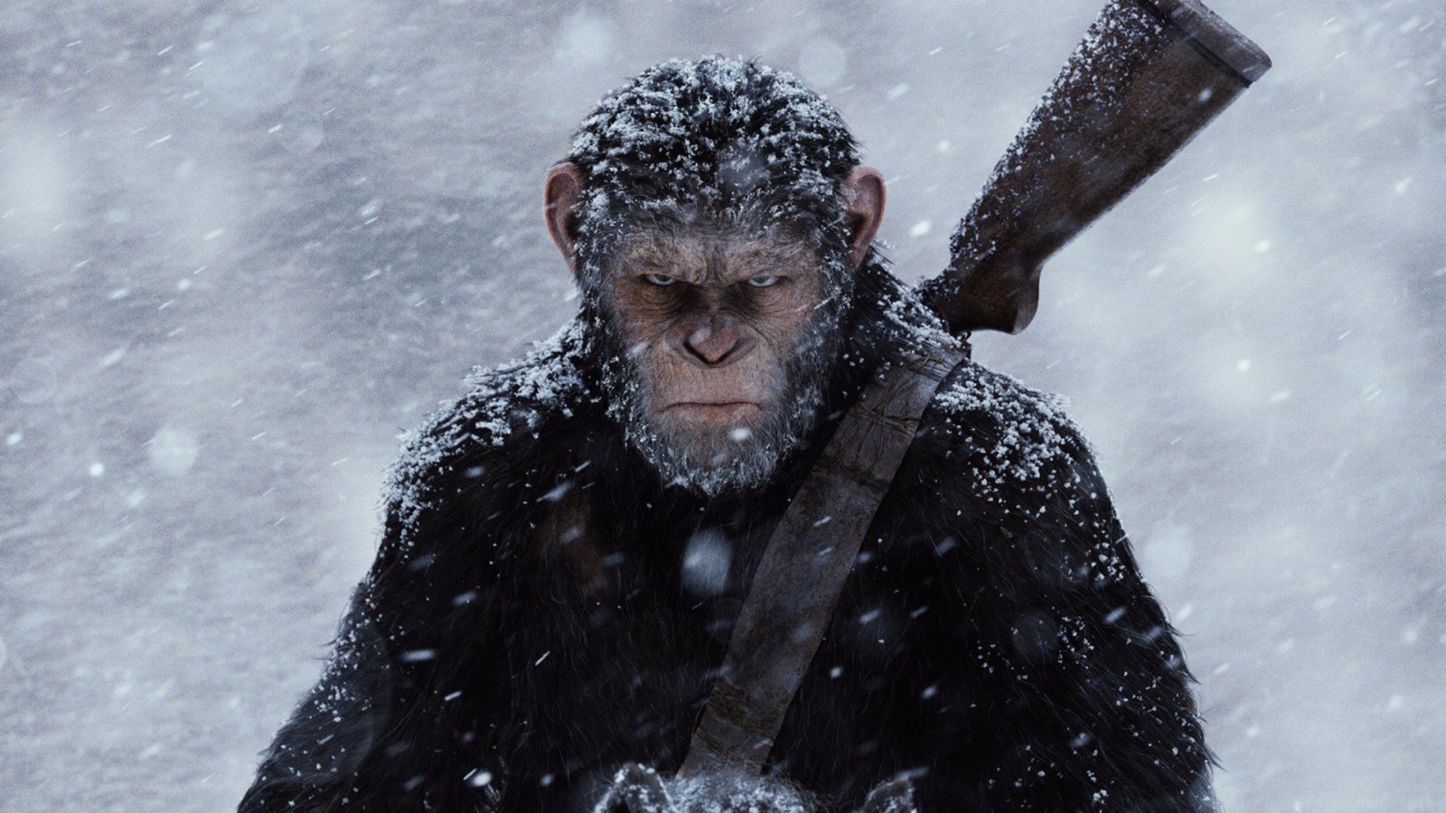 Цезарь персонаж фильма Планета обезьян Война 2017 