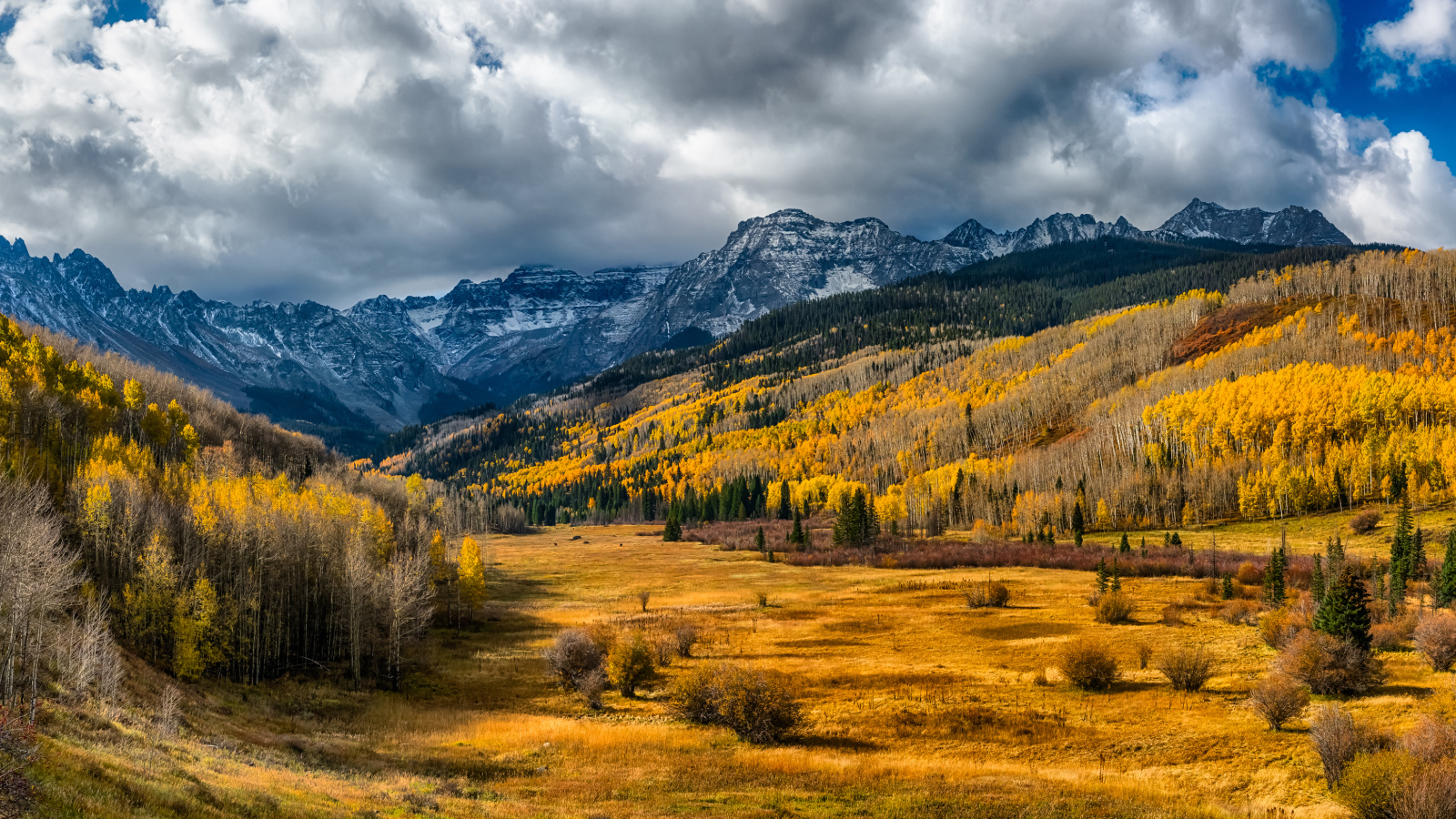 Осенний лес под большими белыми облаками в горах