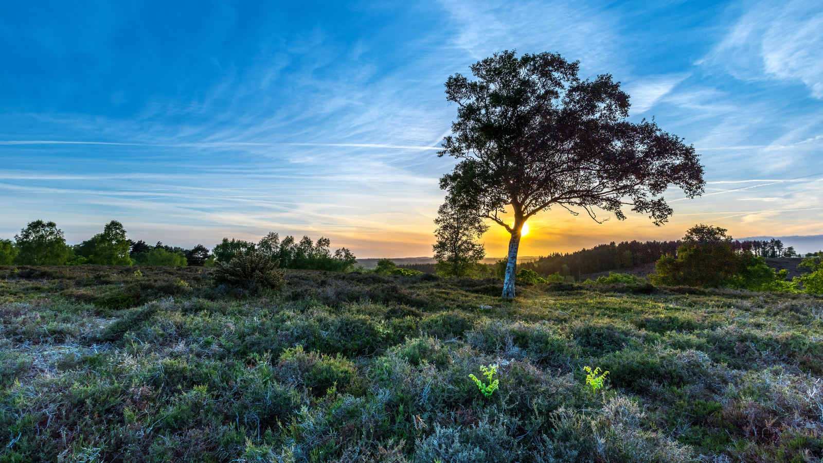 Рассвет солнца в красивом голубом небе над полем