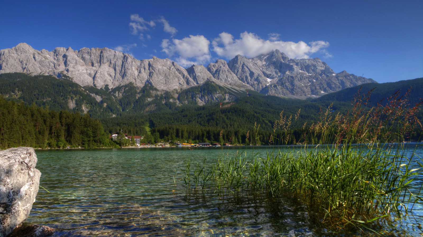 Зеленый лес у горного озера, Германия