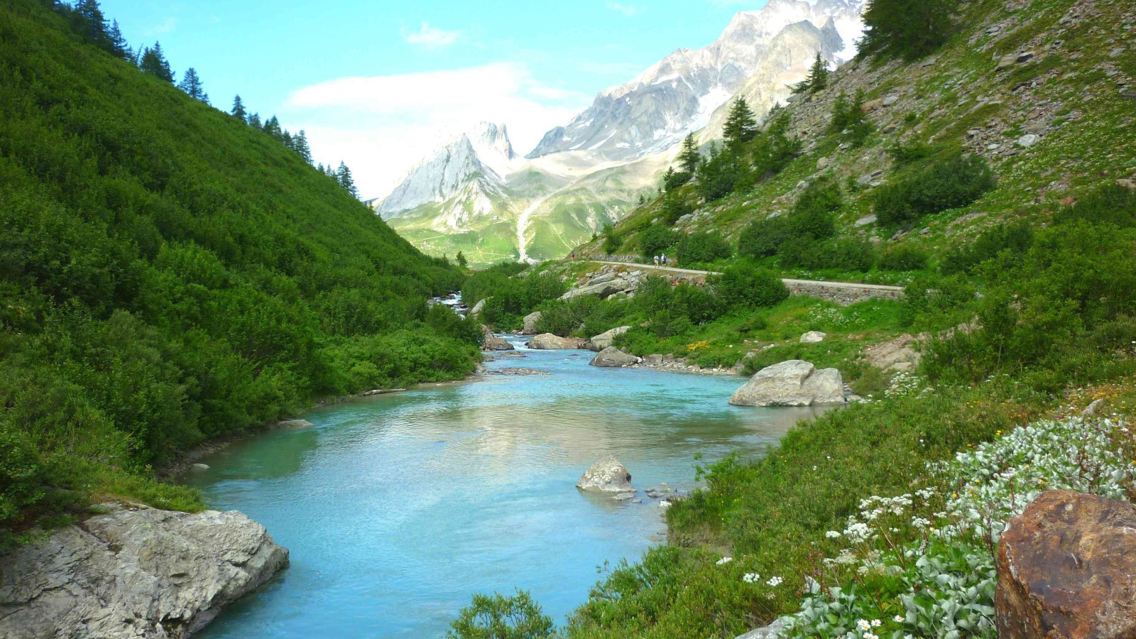 Горная река меж зеленых берегов 