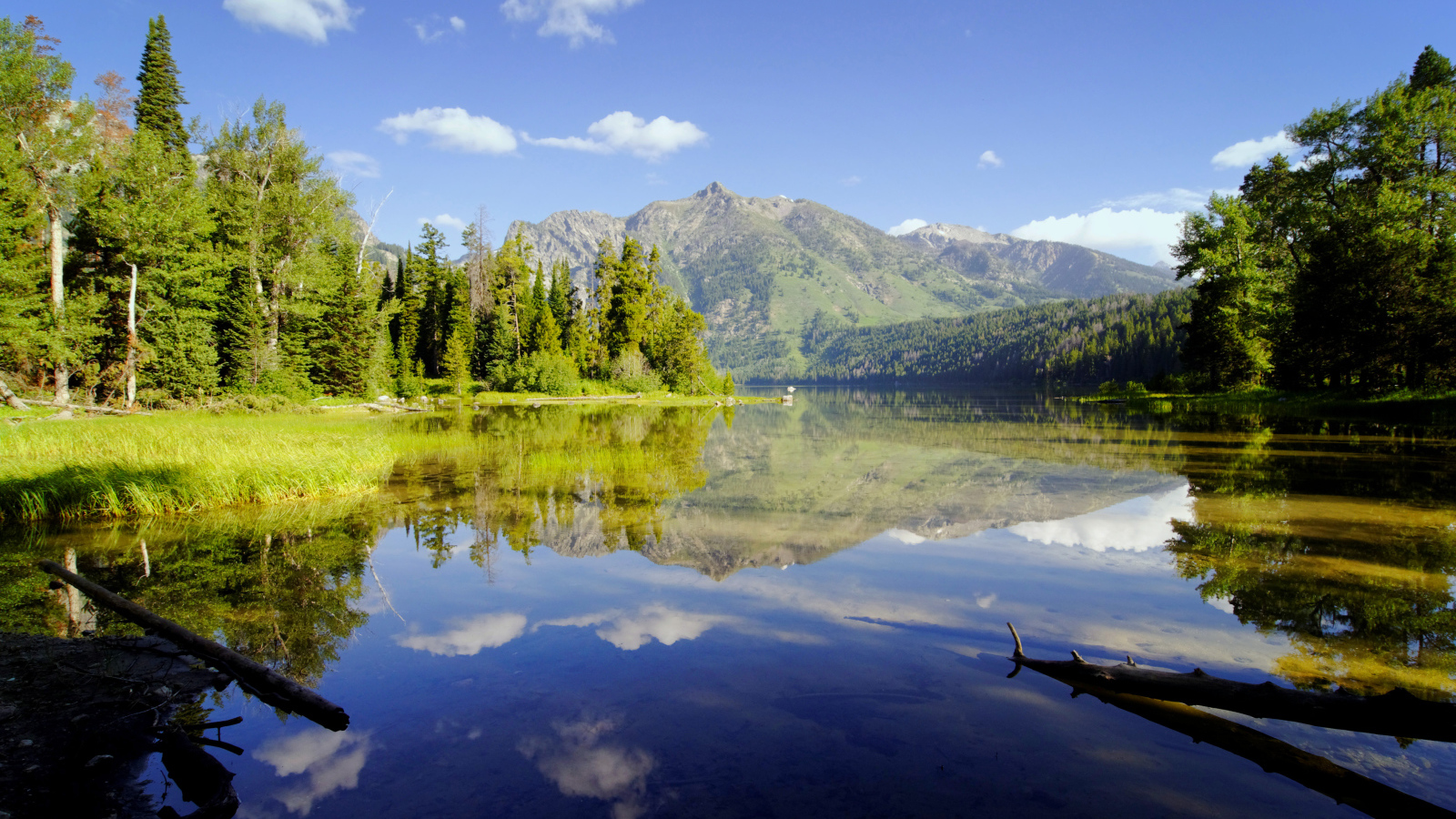 Живописная природа у горного озера 