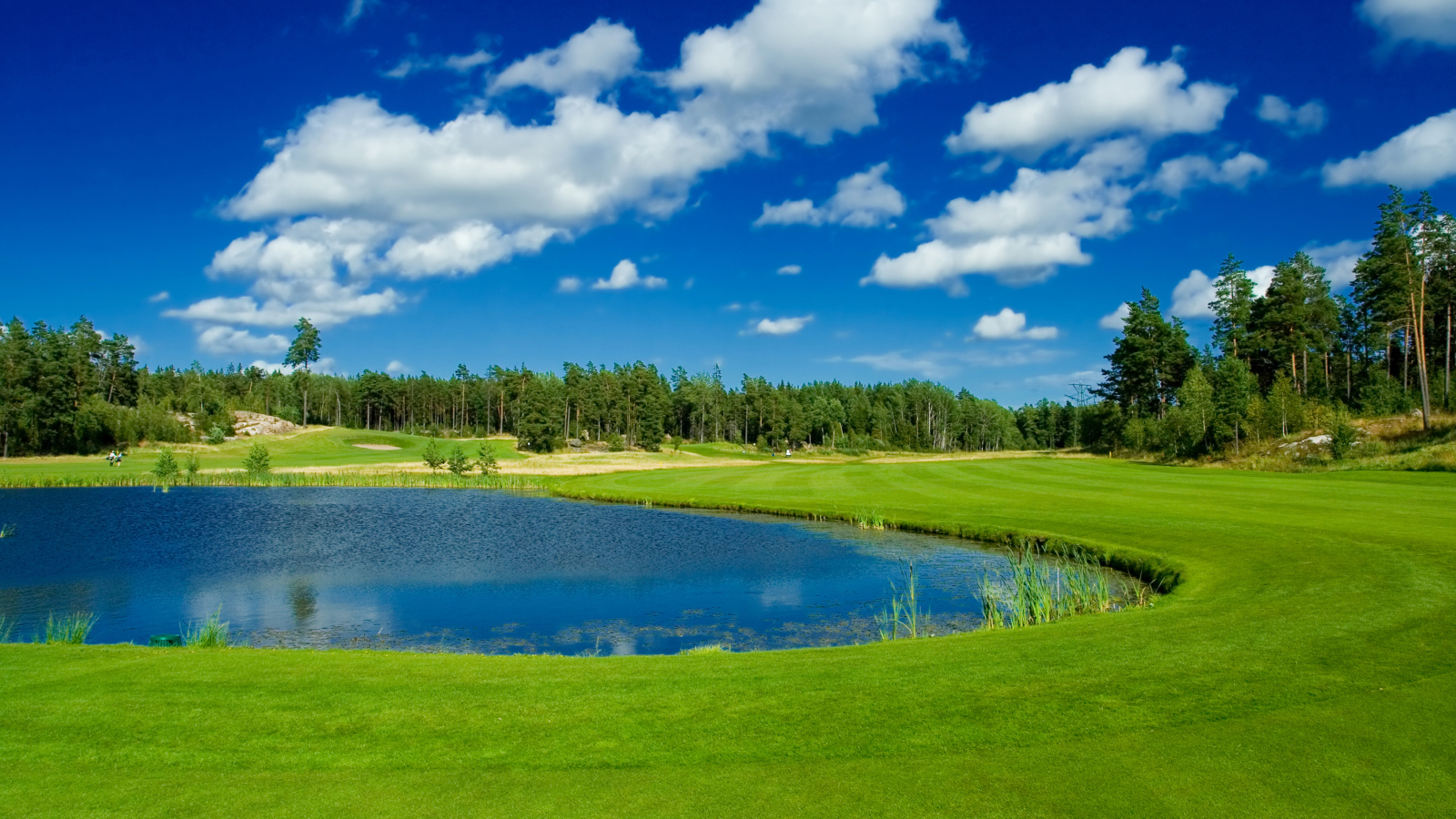 Пруд в парке у зеленого газона на фоне голубого неба