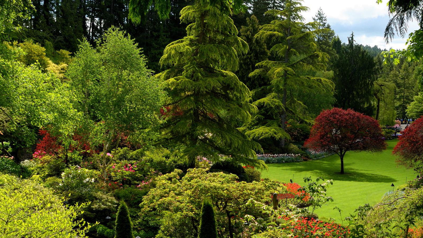 Живописный зеленый парк Канады