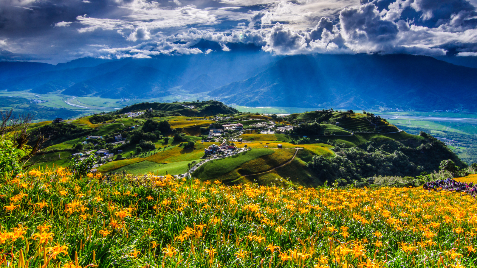 Лучи солнца пробиваются сквозь белые облака над цветущими холмами. Тайвань.