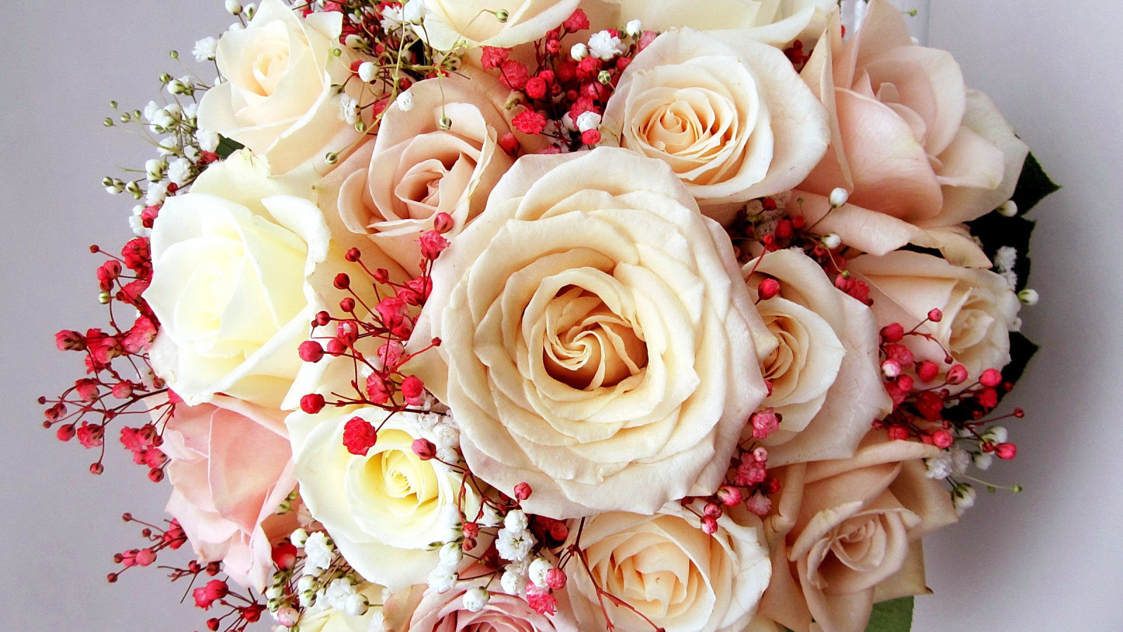 Красивый букет нежных роз кремового цвета 