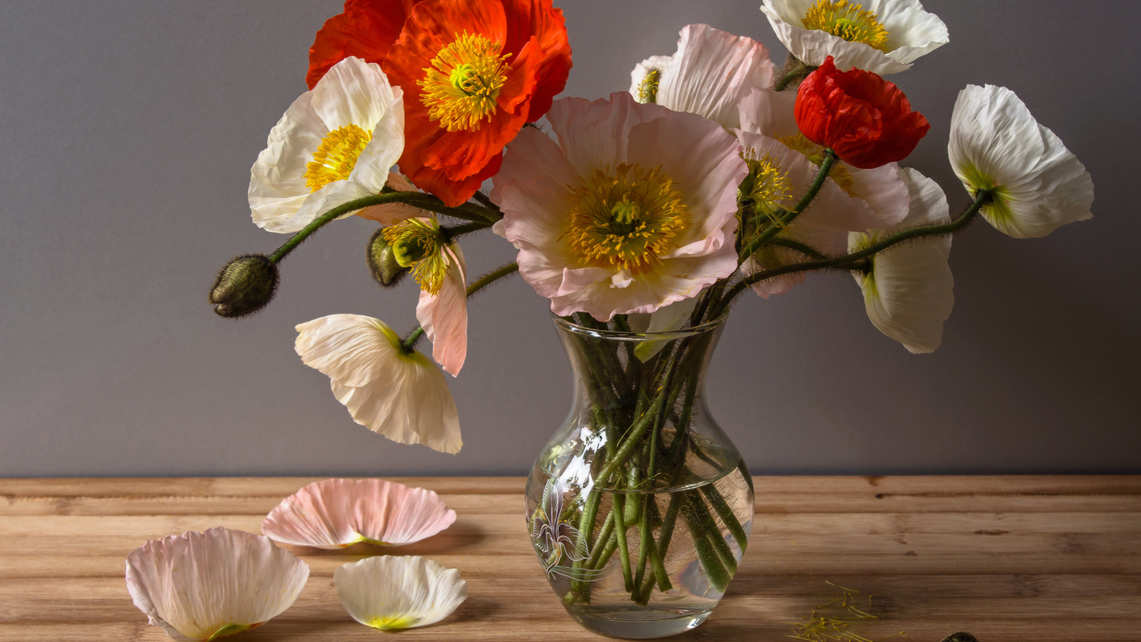 Букет крупных красивых маков в прозрачной вазе