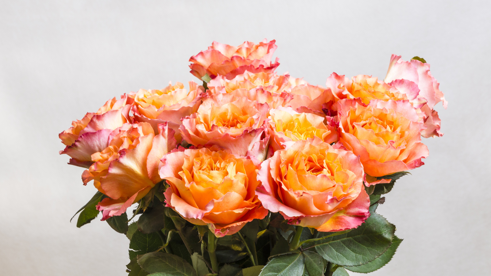 Красивый букет оранжевых роз на сером фоне