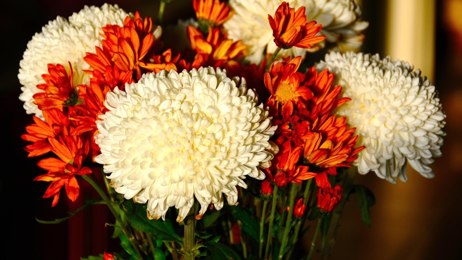 Красивый букет белых и оранжевый хризантем