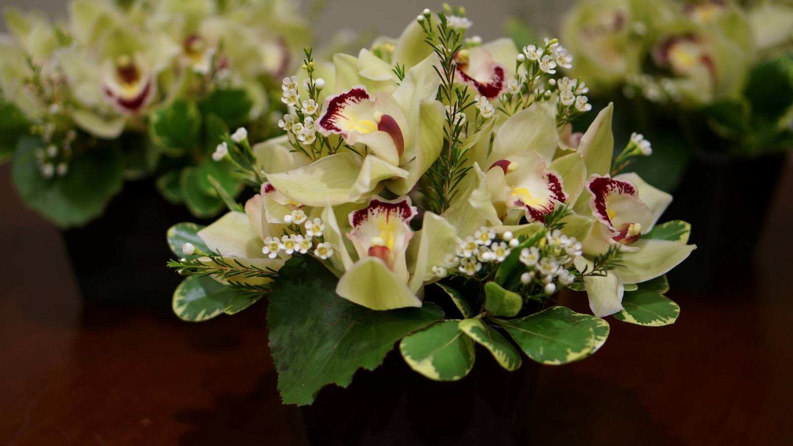 Букет нежной орхидеи и морозника