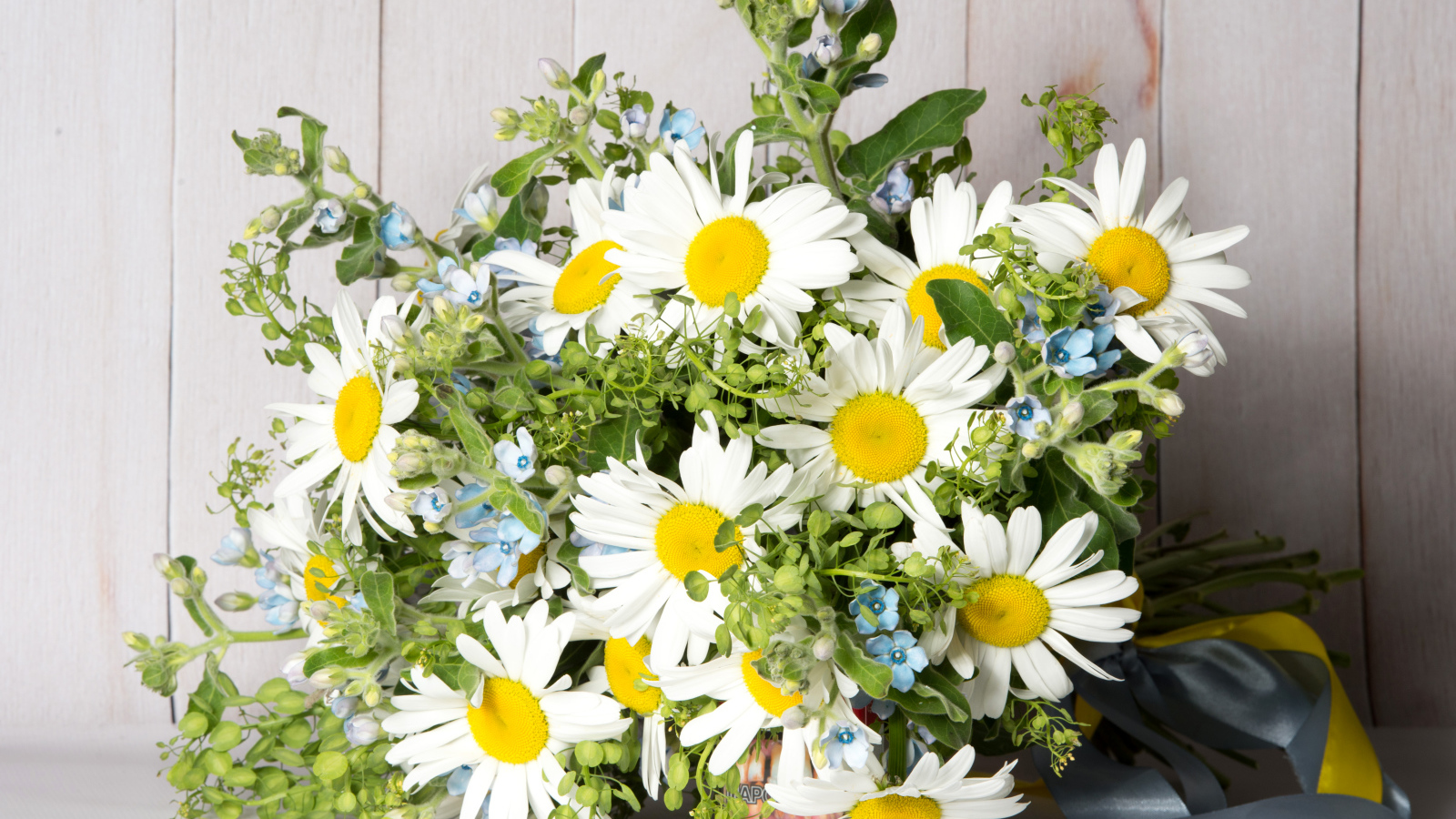 Букет полевых ромашек перевязанный лентой