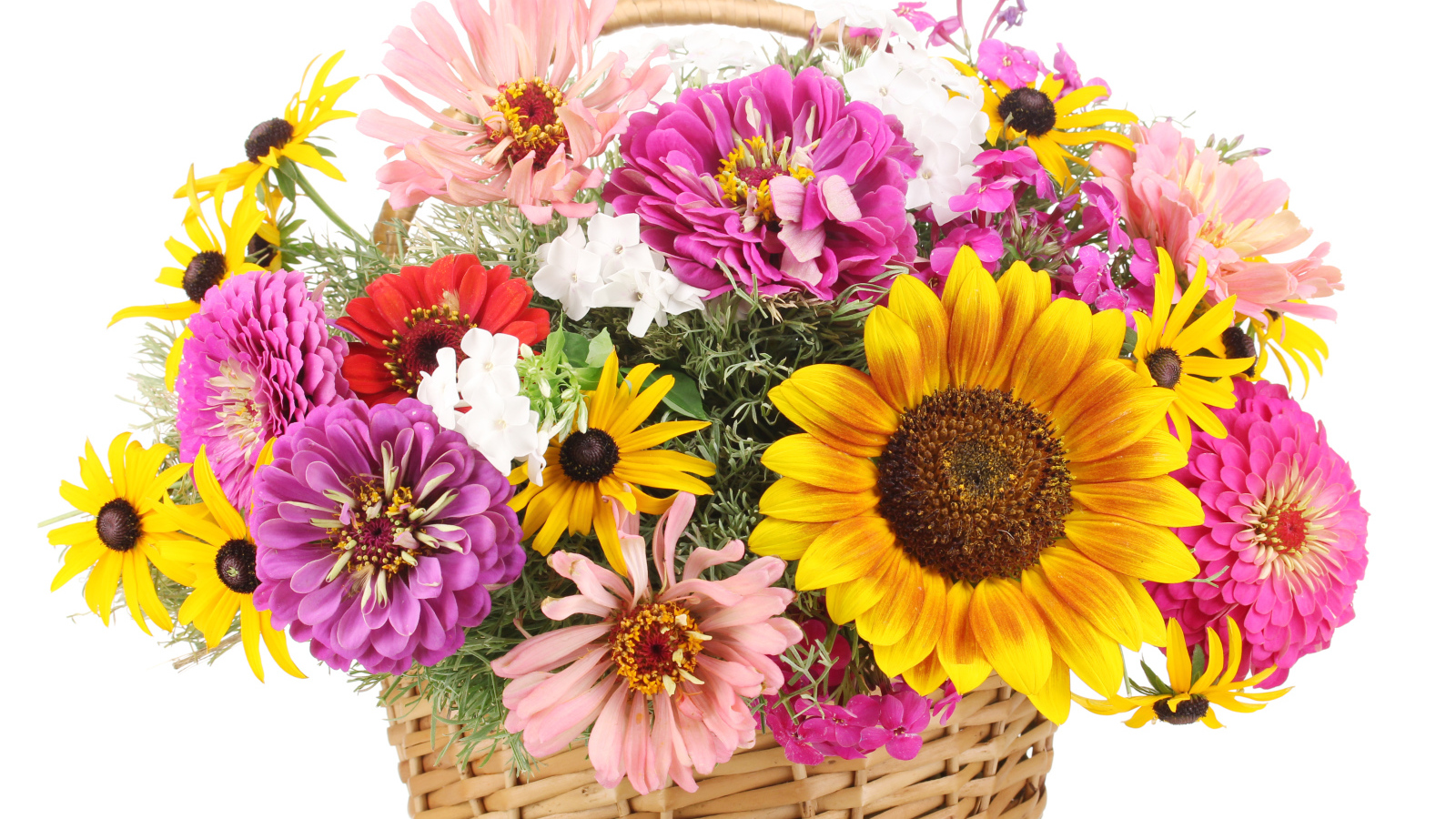 Букет цветов цинии, рудбекии и подсолнуха в корзине на белом фоне