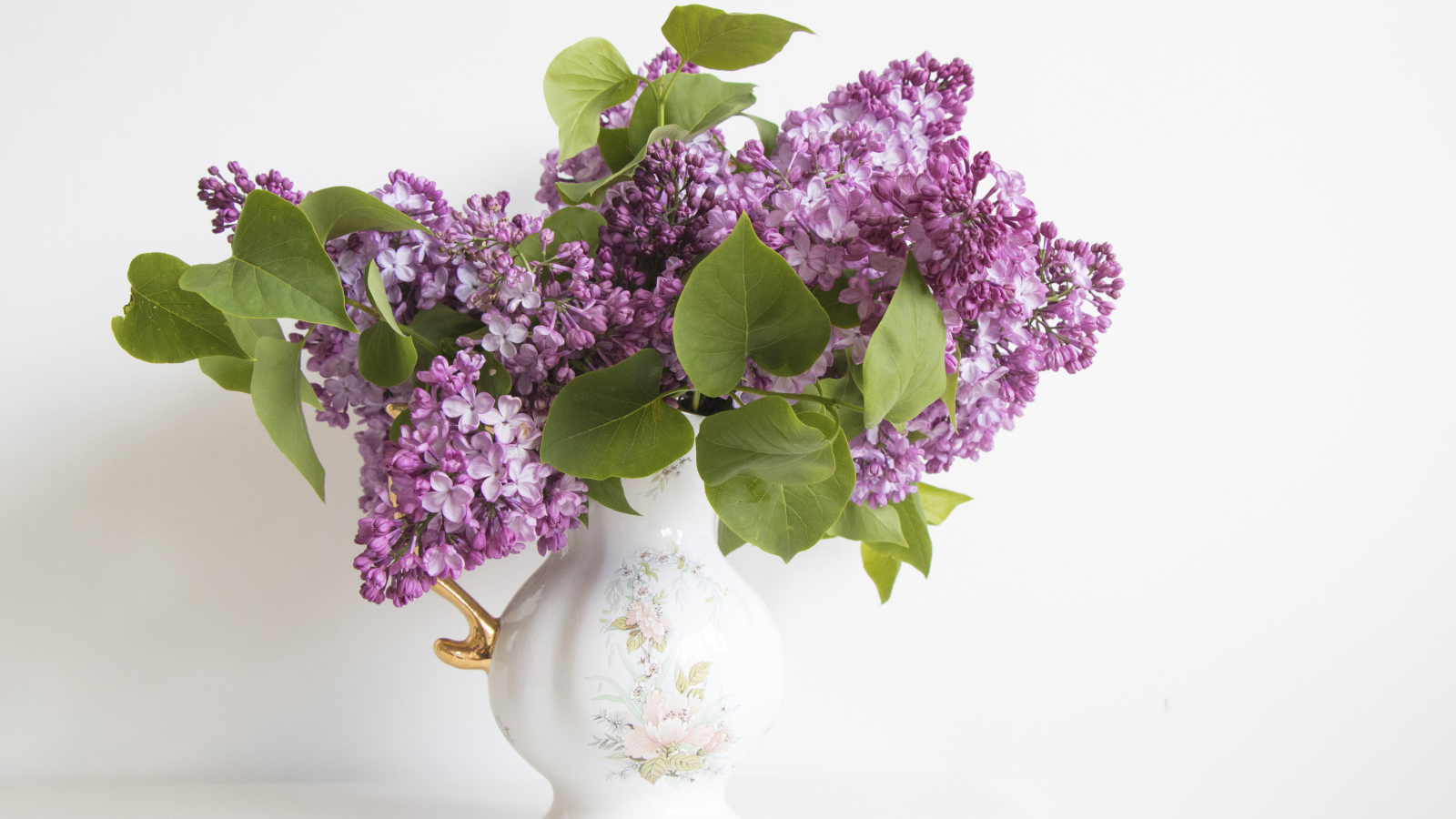 Букет сирени в красивой вазе на белом фоне