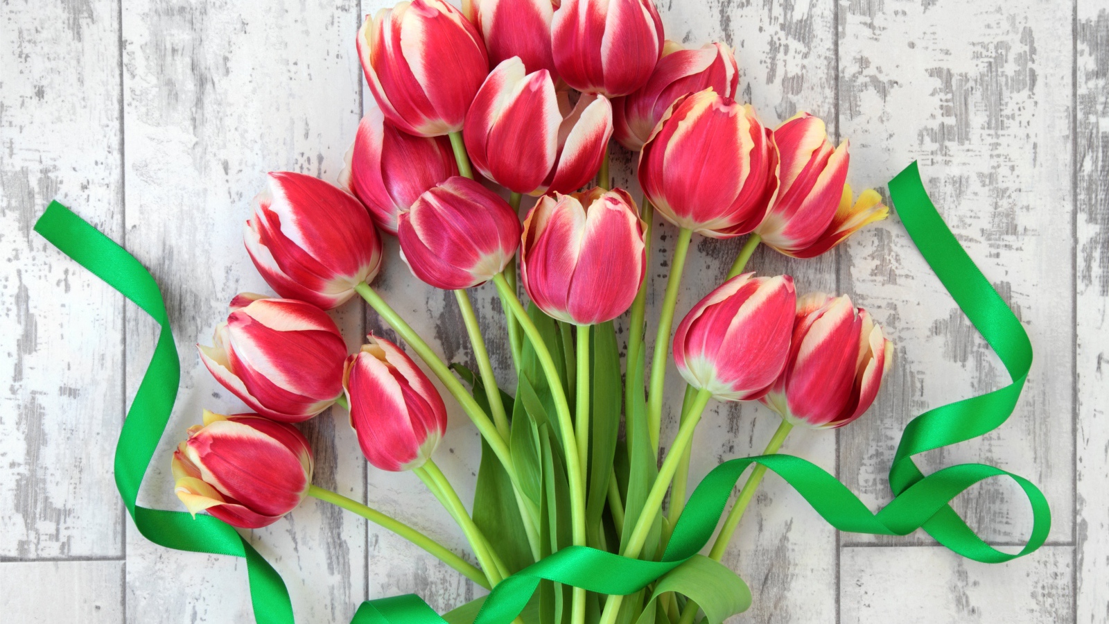 Букет розовых тюльпанов с зеленой лентой 