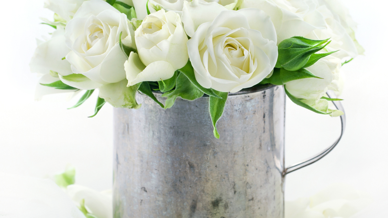 Букет белых роз в железной кружке на белом фоне