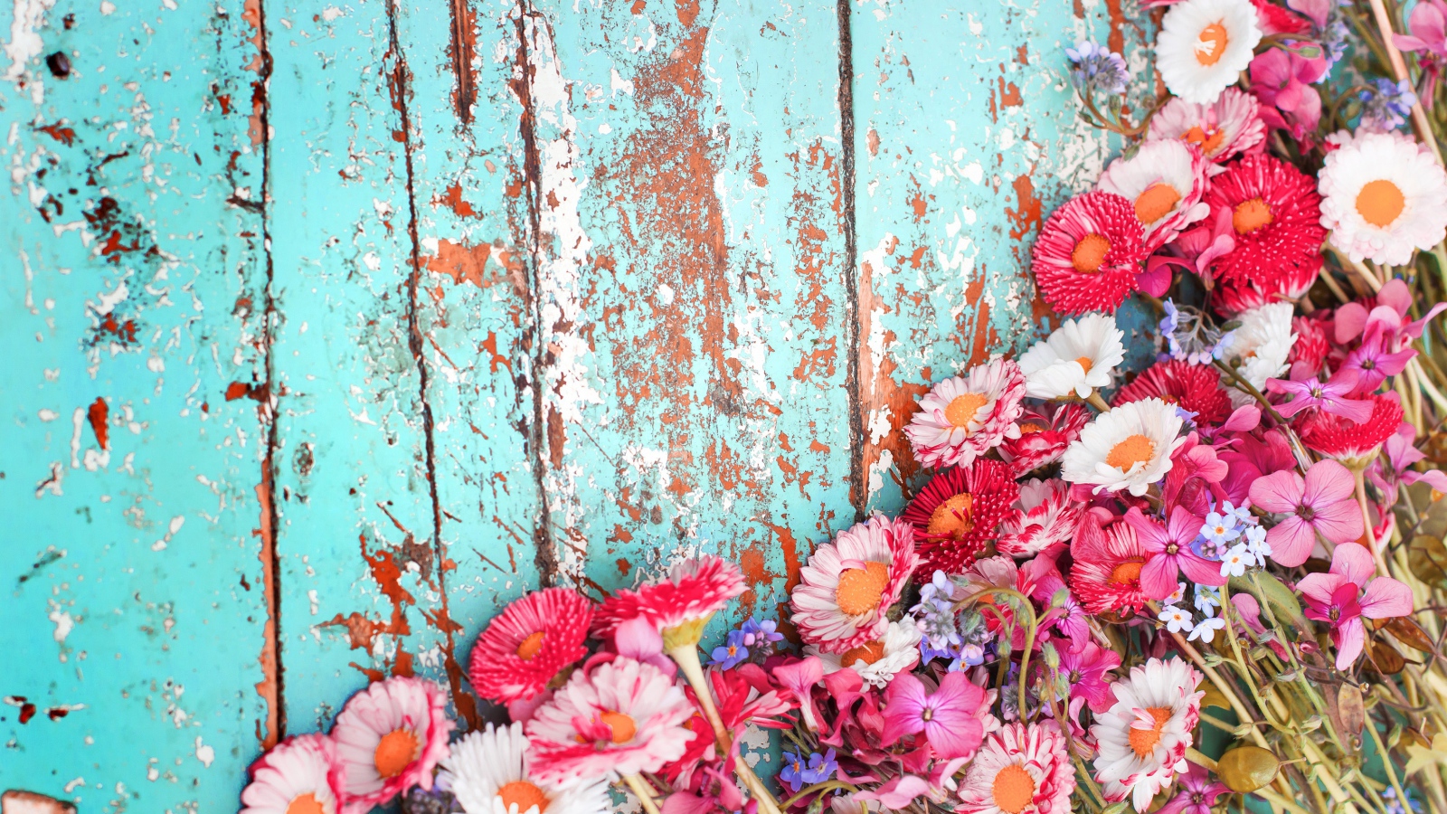 Маргаритки и флоксы на старой деревянной поверхности