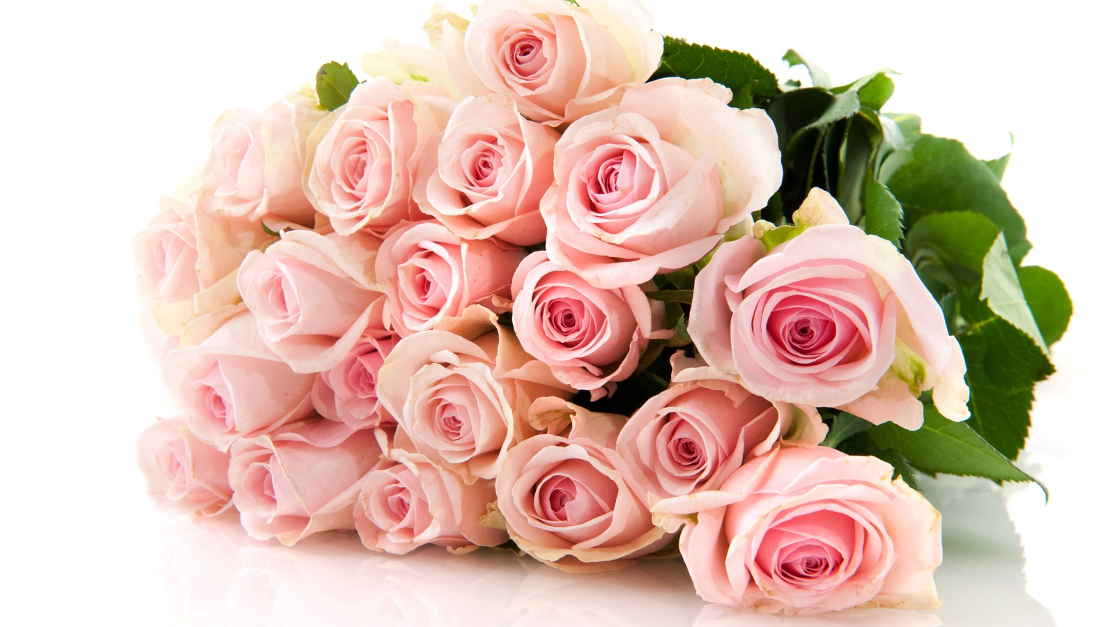 Нежный букет красивых розовых роз на белом фоне