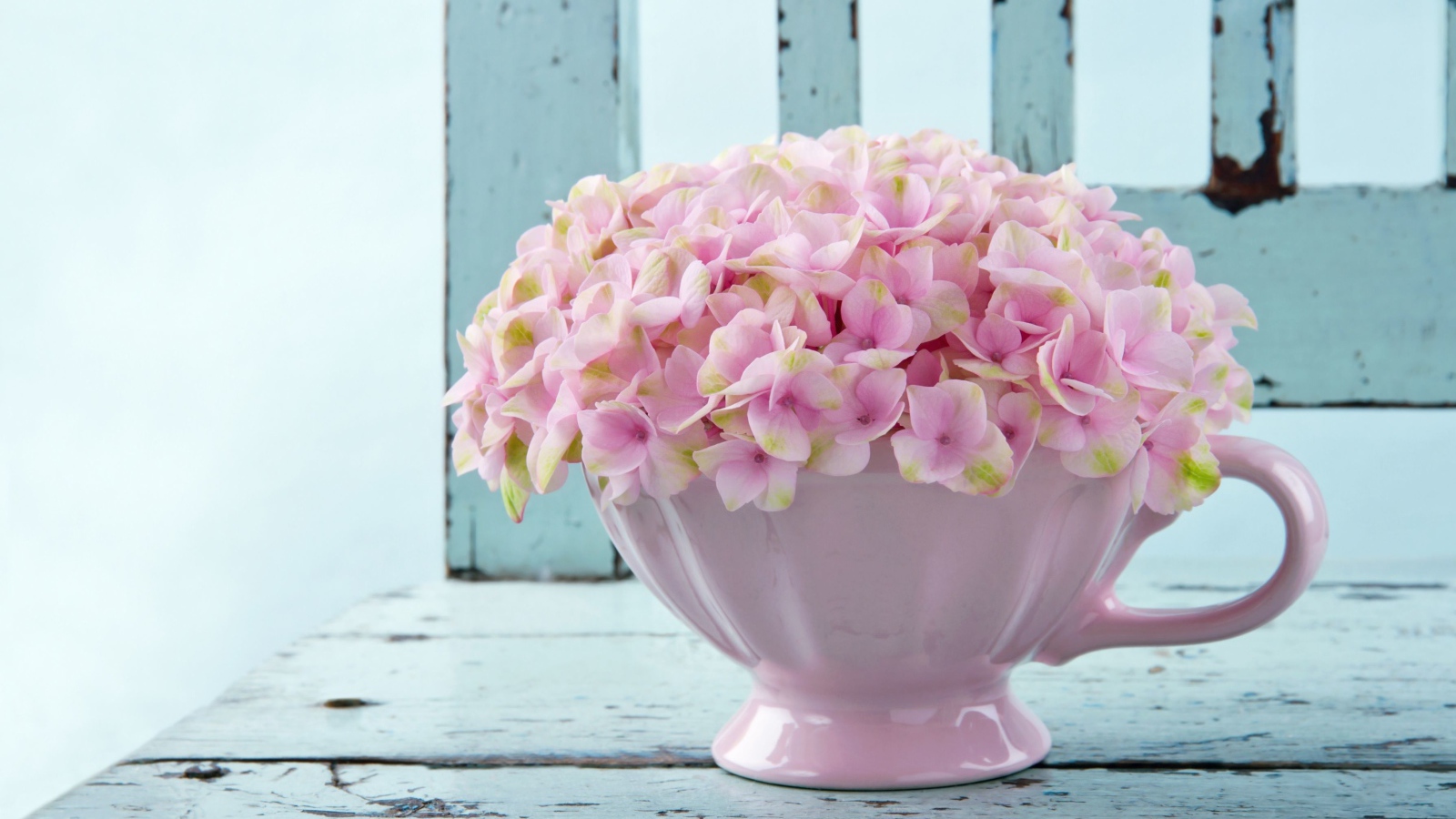 Нежные розовые цветы в белой вазе