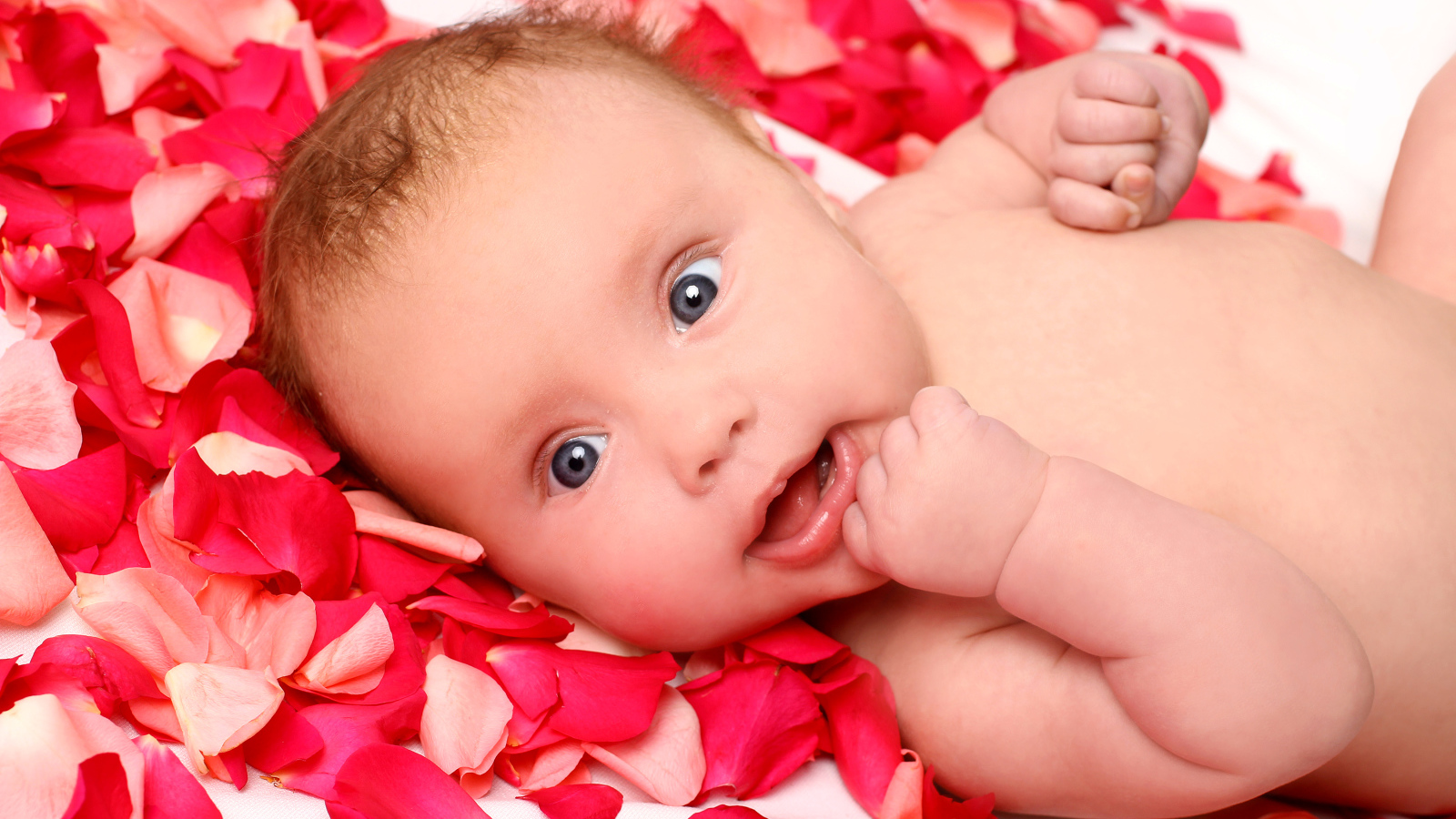 Грудной ребенок лежит на лепестках красной розы