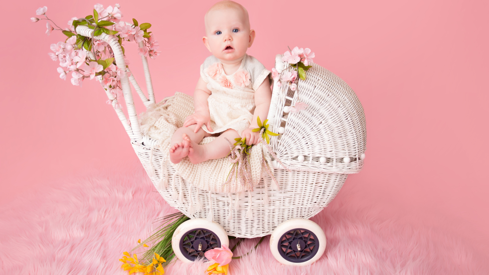 Младенец девочка сидит в коляске на розовом фоне
