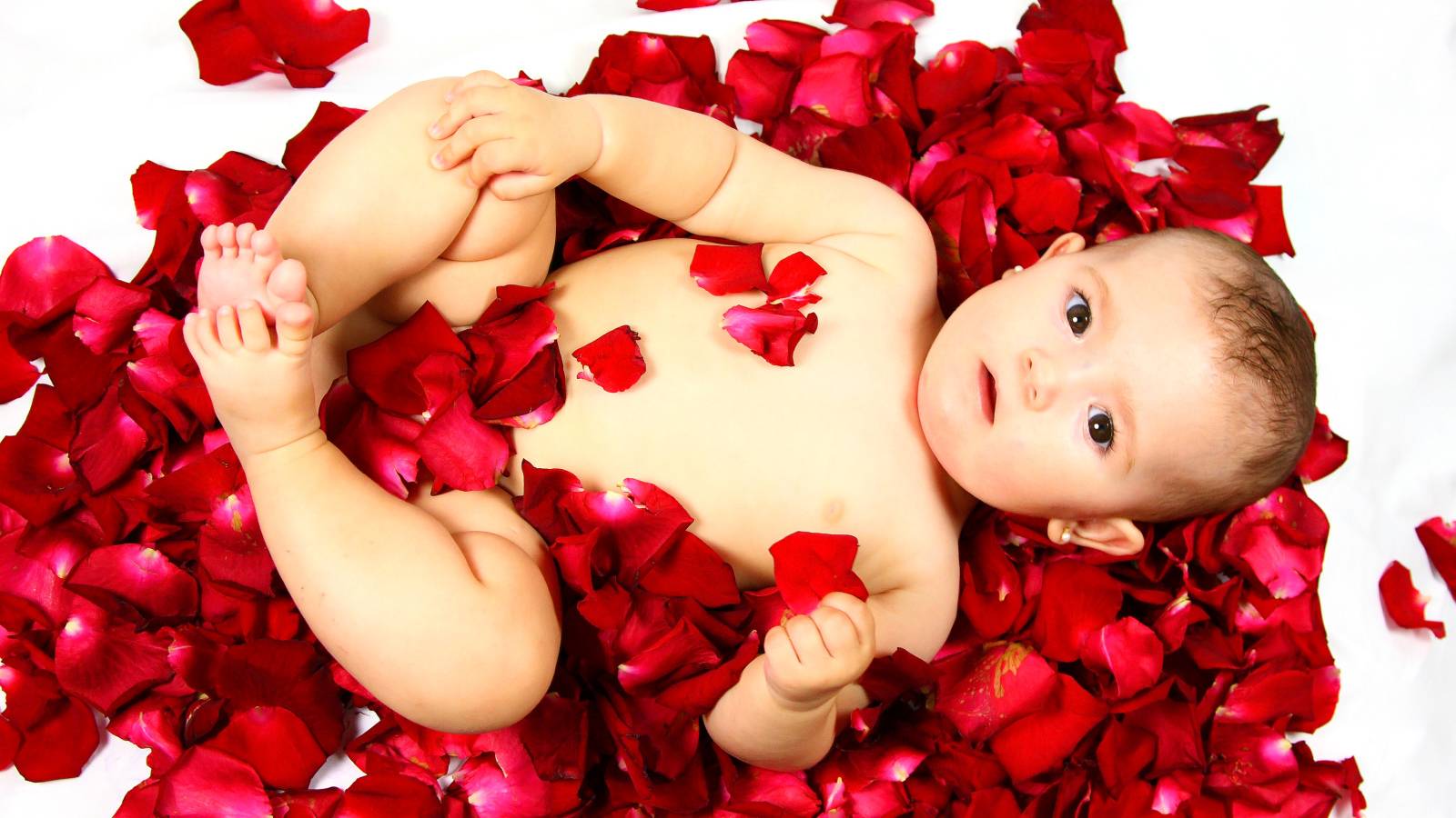 Милый грудной ребенок лежит на лепестках розы на белом фоне