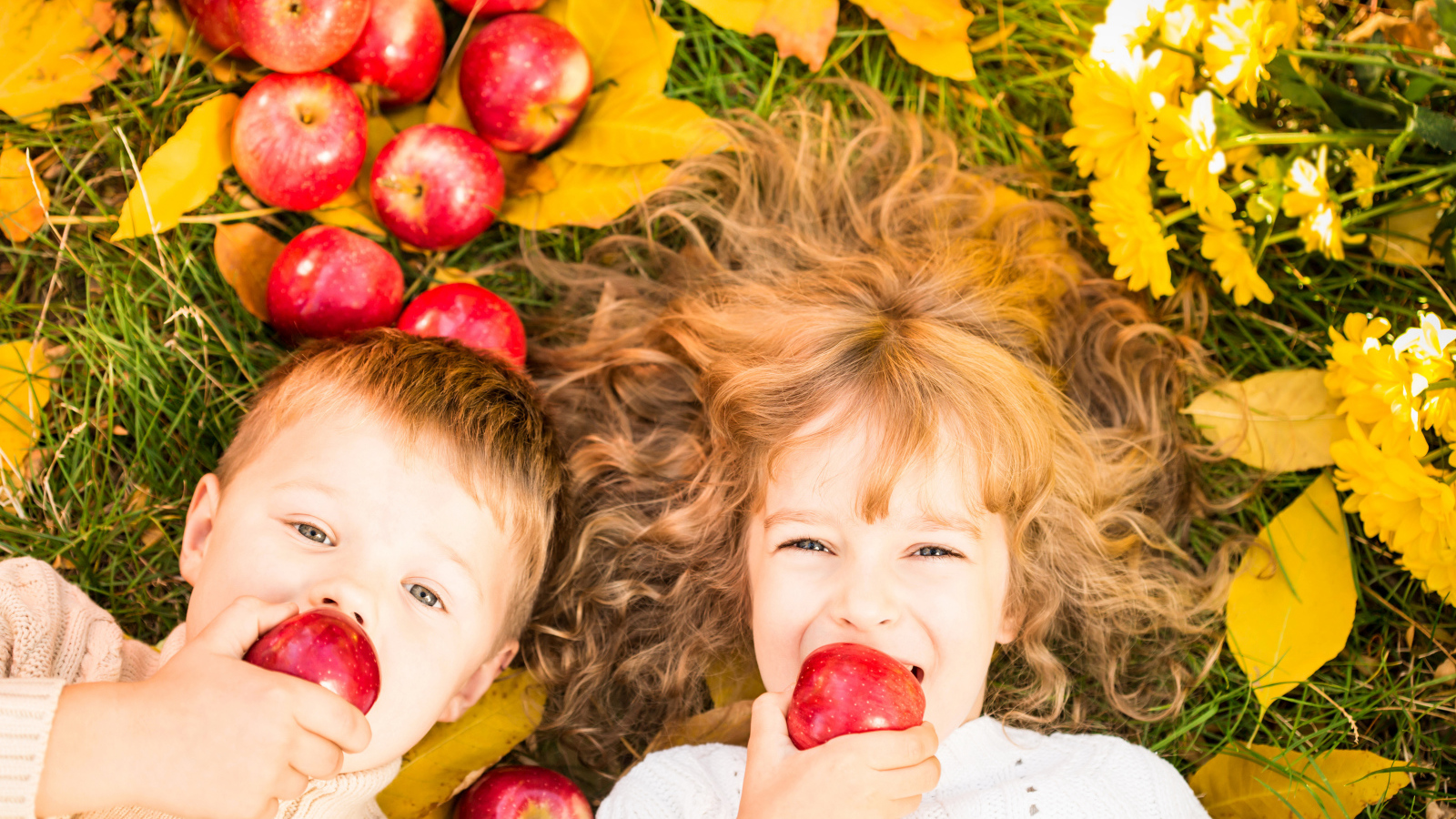Маленькие мальчик и девочка лежат на желтой листве с красными яблоками
