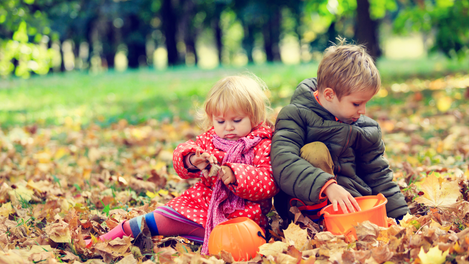 Маленькие мальчик и девочка сидят на желтой листве в парке осенью