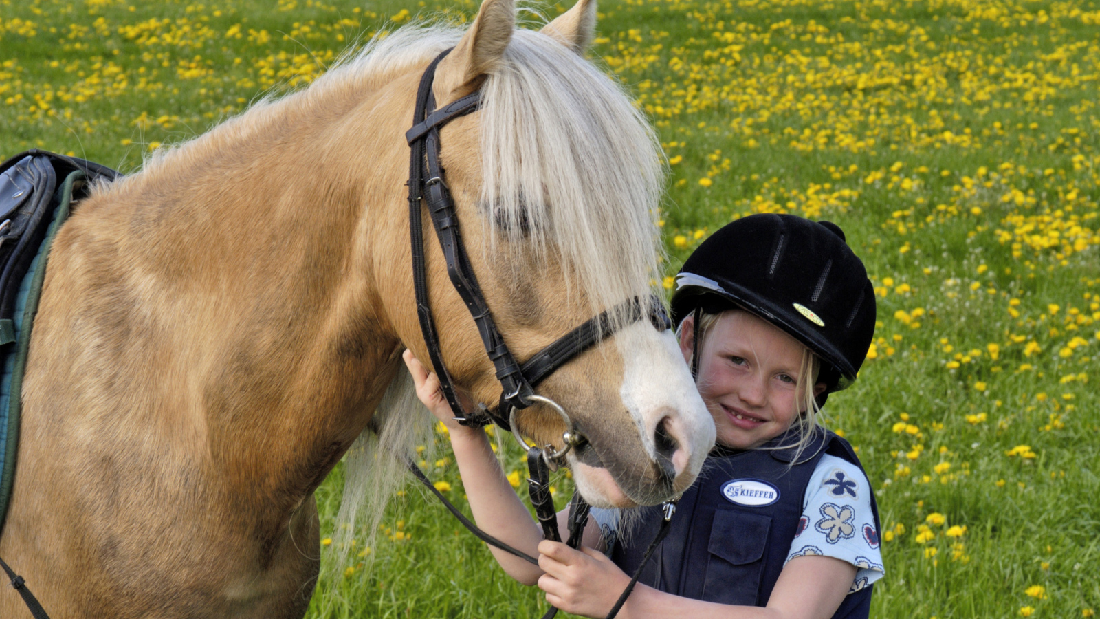 Маленькая девочка в шлеме с лошадью