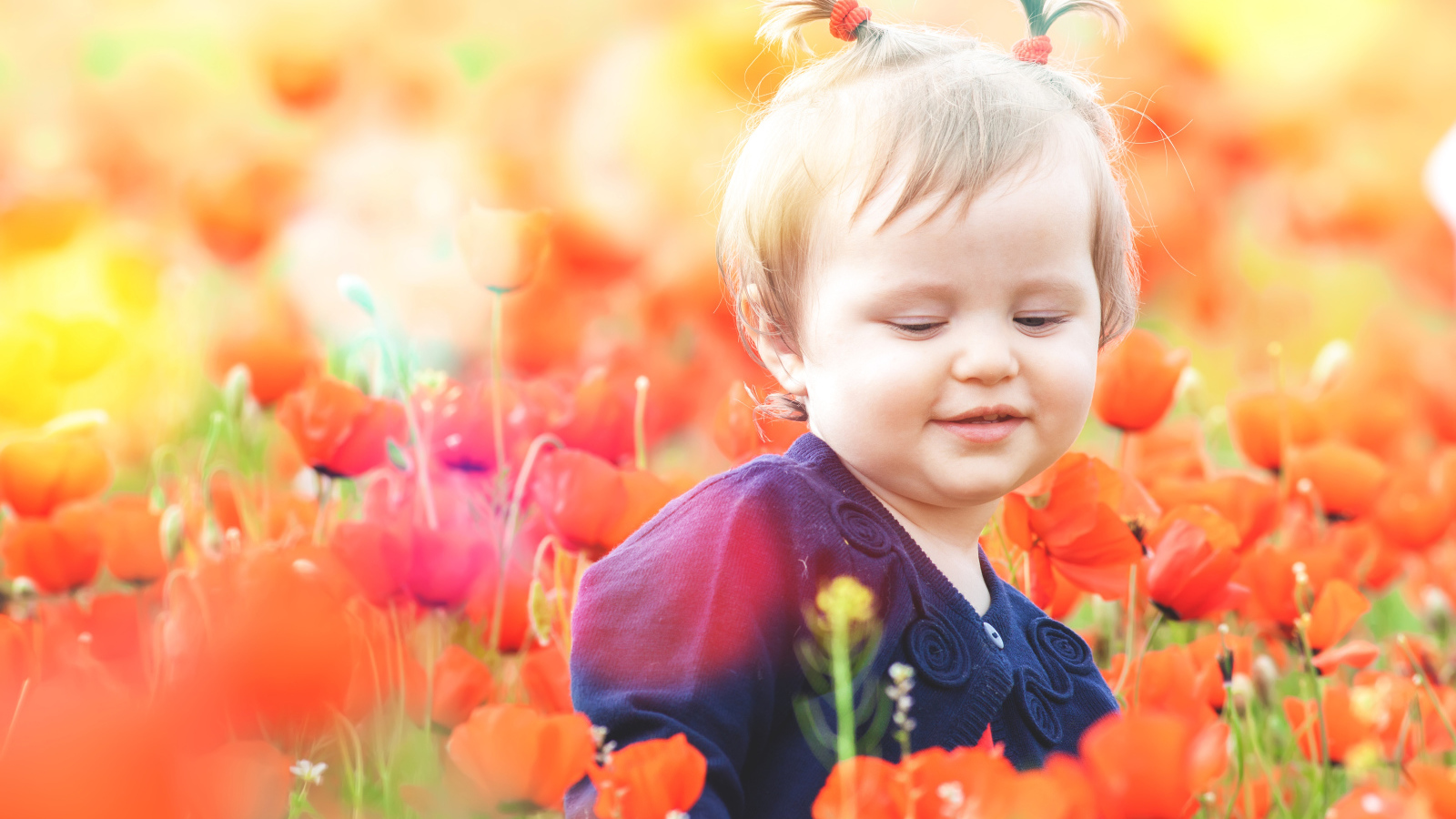 Маленькая девочка в красных цветах мака 