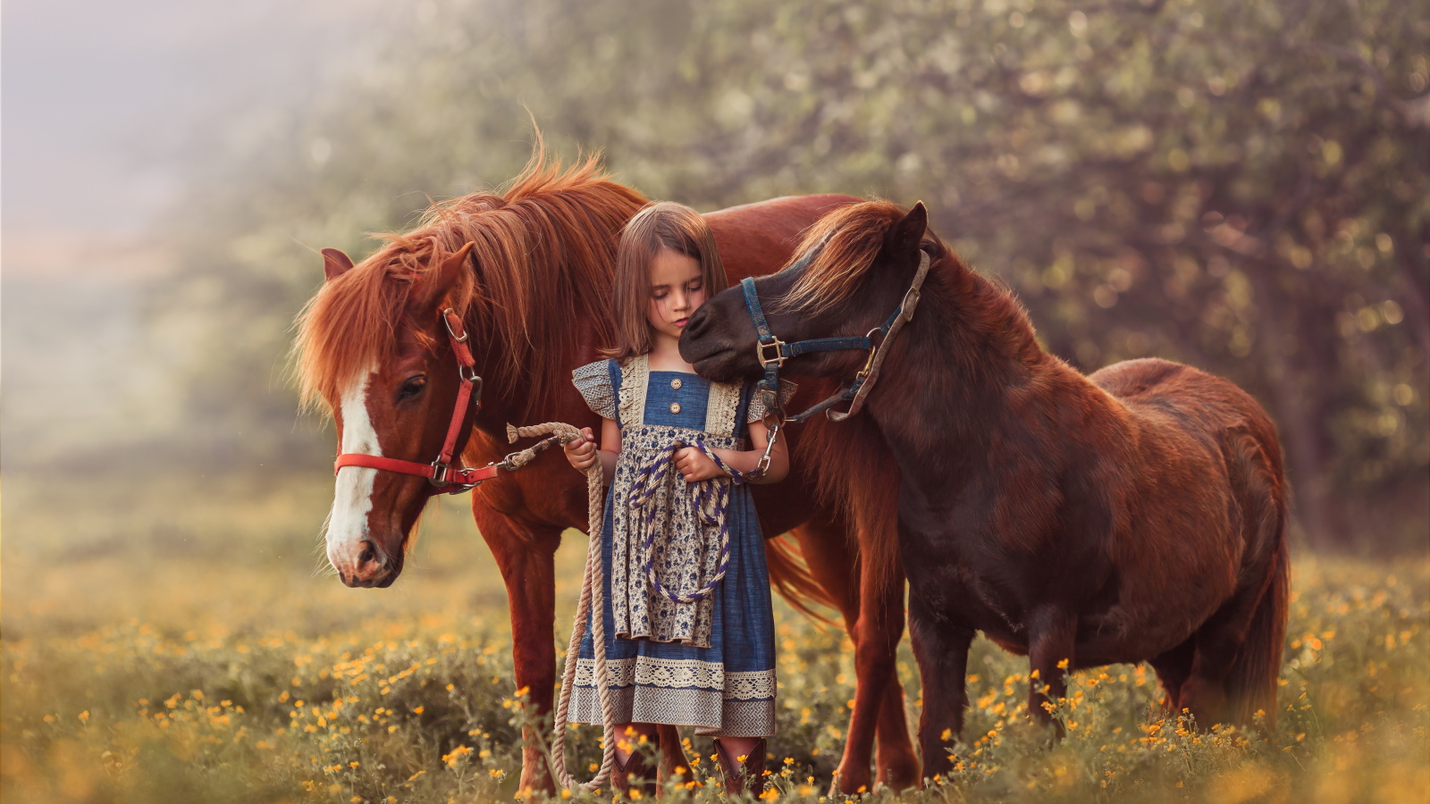 Маленькая девочка гуляет по полю с маленькими пони