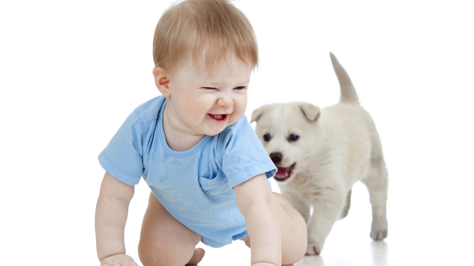 Маленький улыбающийся мальчик с щенком на белом фоне