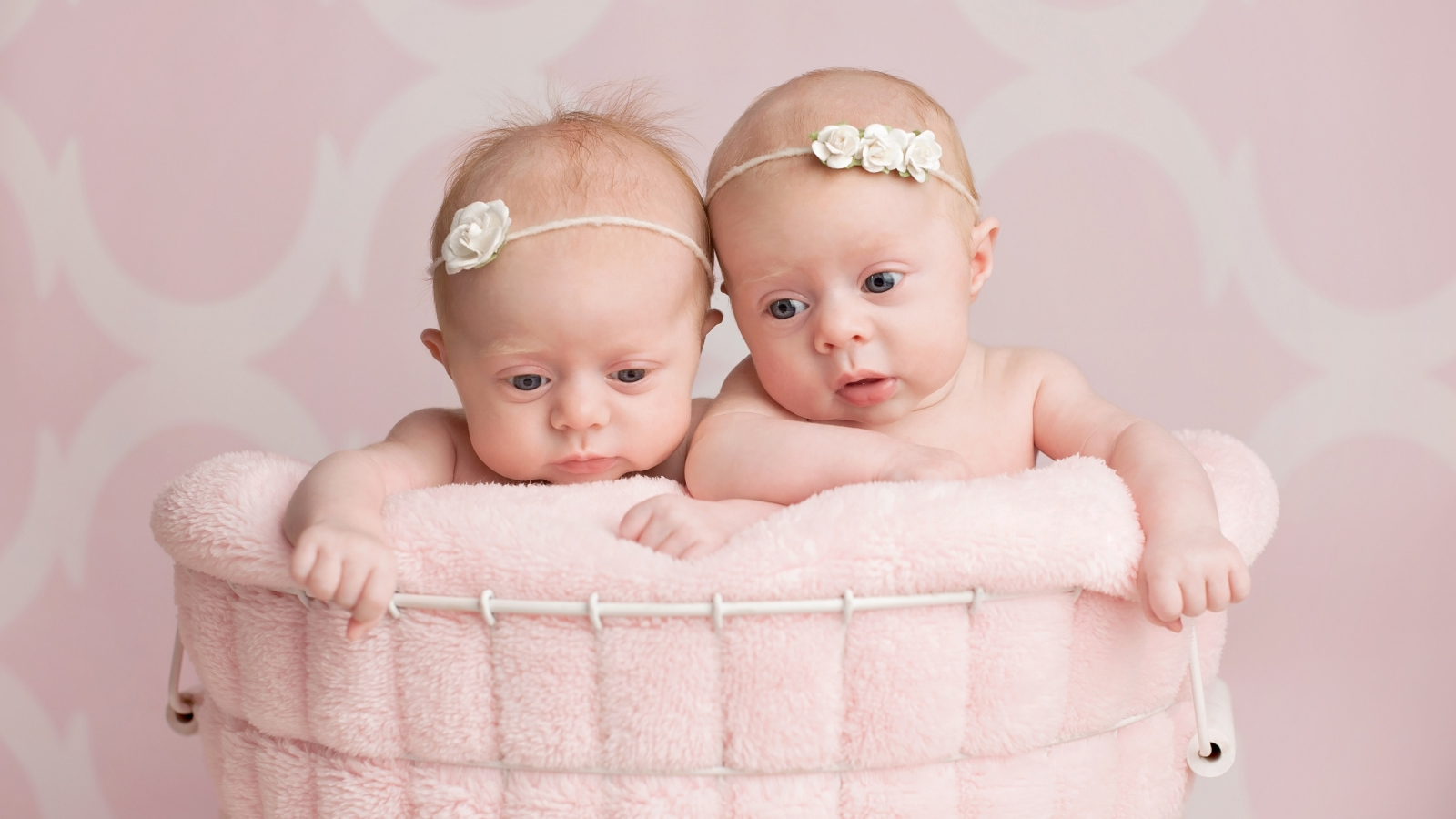 Два младенца близнеца девочки в корзине
