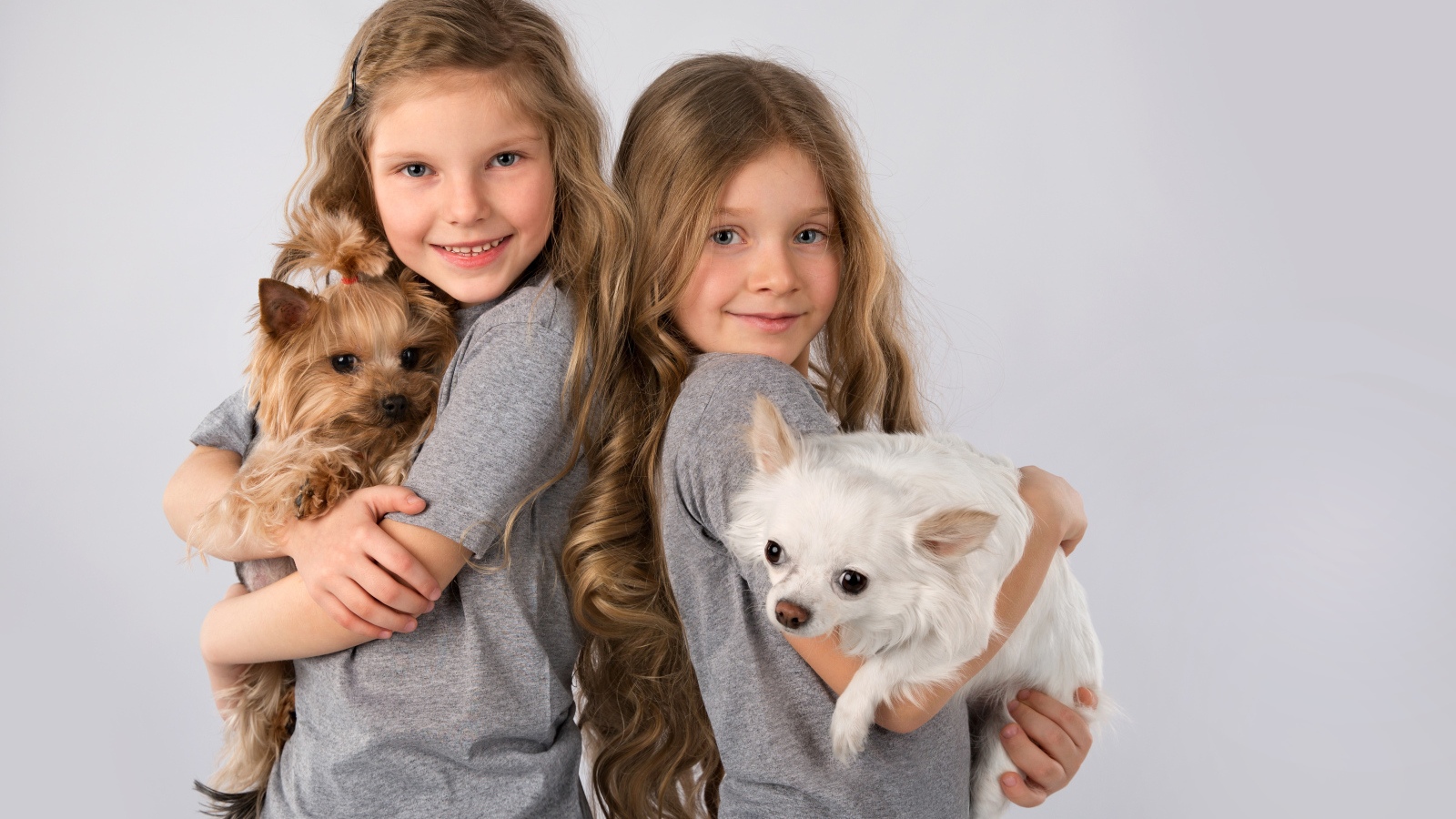 Две маленькие девочки с собачками на руках на сером фоне