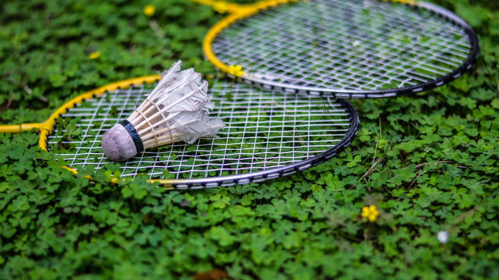 Теннисные ракетки и воланчик лежат на зеленой траве