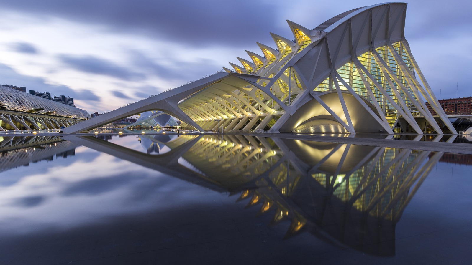 Музей наук принца Фелипе город Валенсия, Италия 