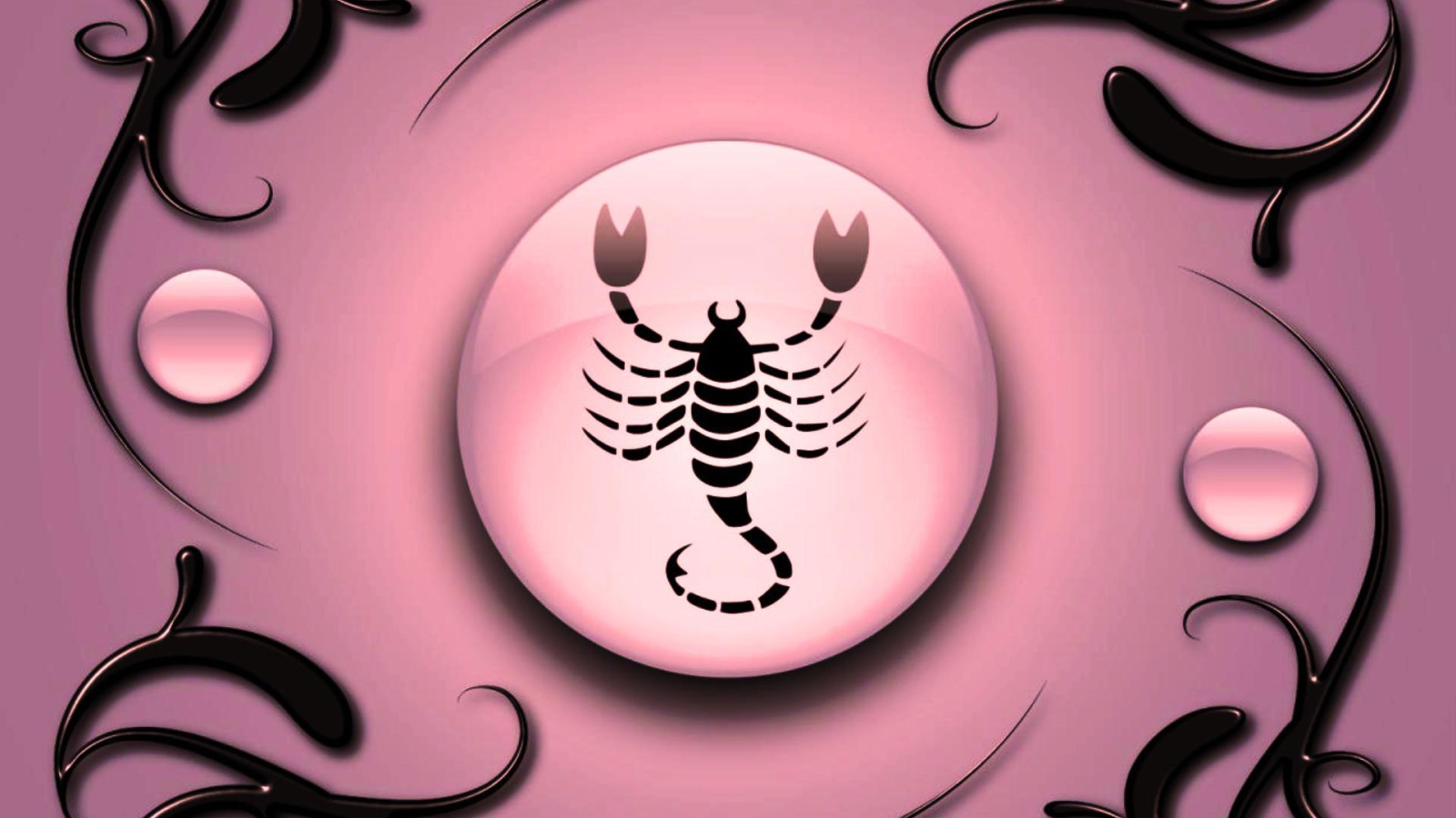 Знак зодиака Скорпион на  розовом фоне с чёрным орнаментом 