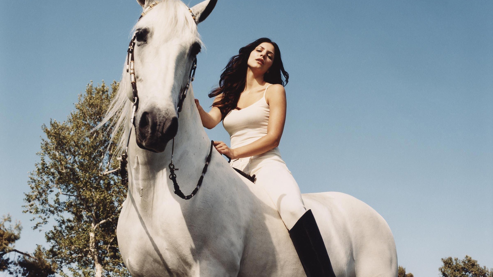 Молодая актриса Кэтрин Макфи на белой лошади 